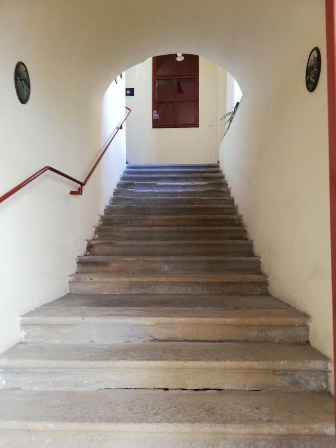 Ferdinand Apartments Mediaş Εξωτερικό φωτογραφία