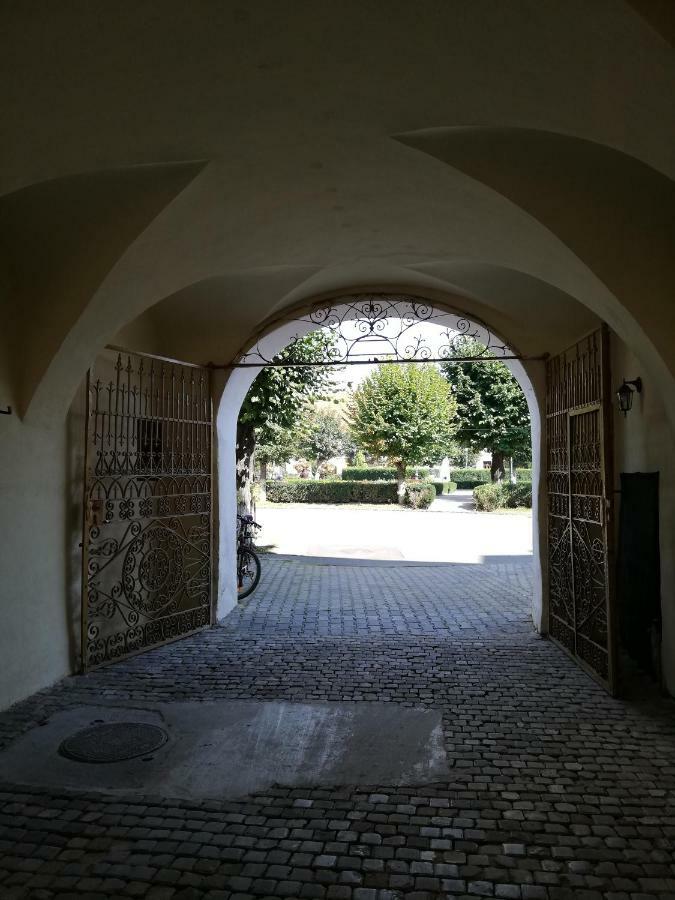Ferdinand Apartments Mediaş Εξωτερικό φωτογραφία